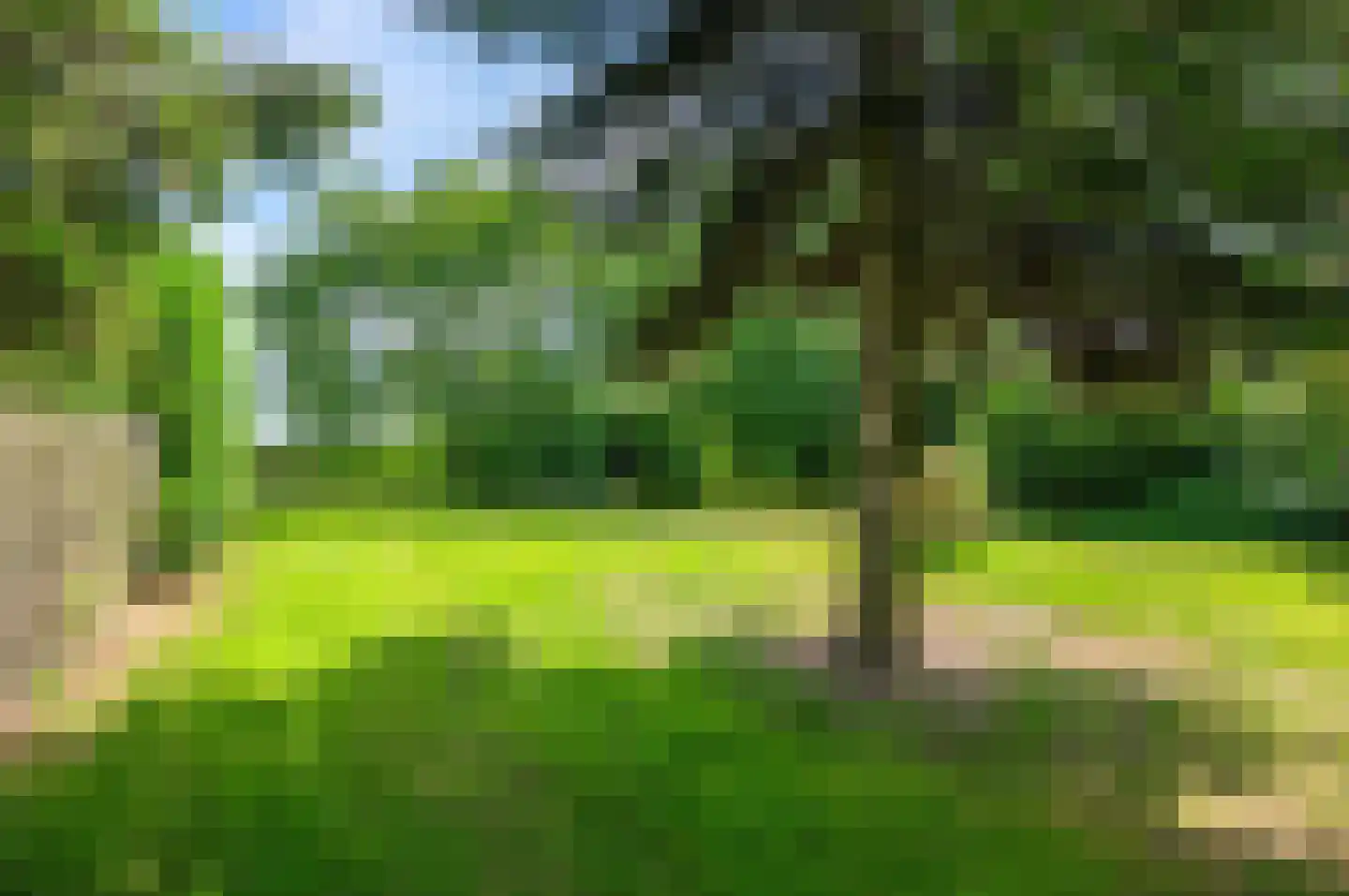 Noordenveldweg 110 Donderen thumbnail 65