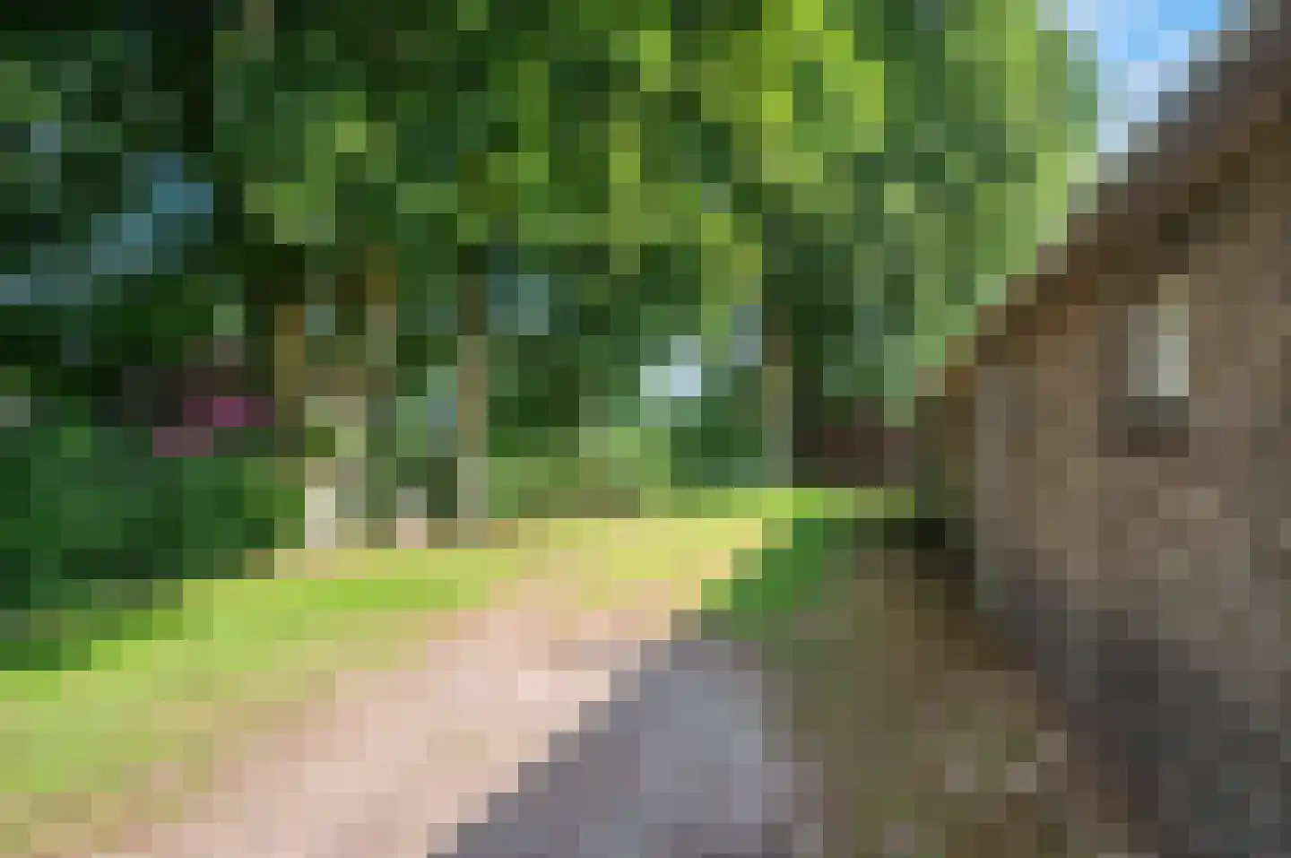Noordenveldweg 110 Donderen thumbnail 66