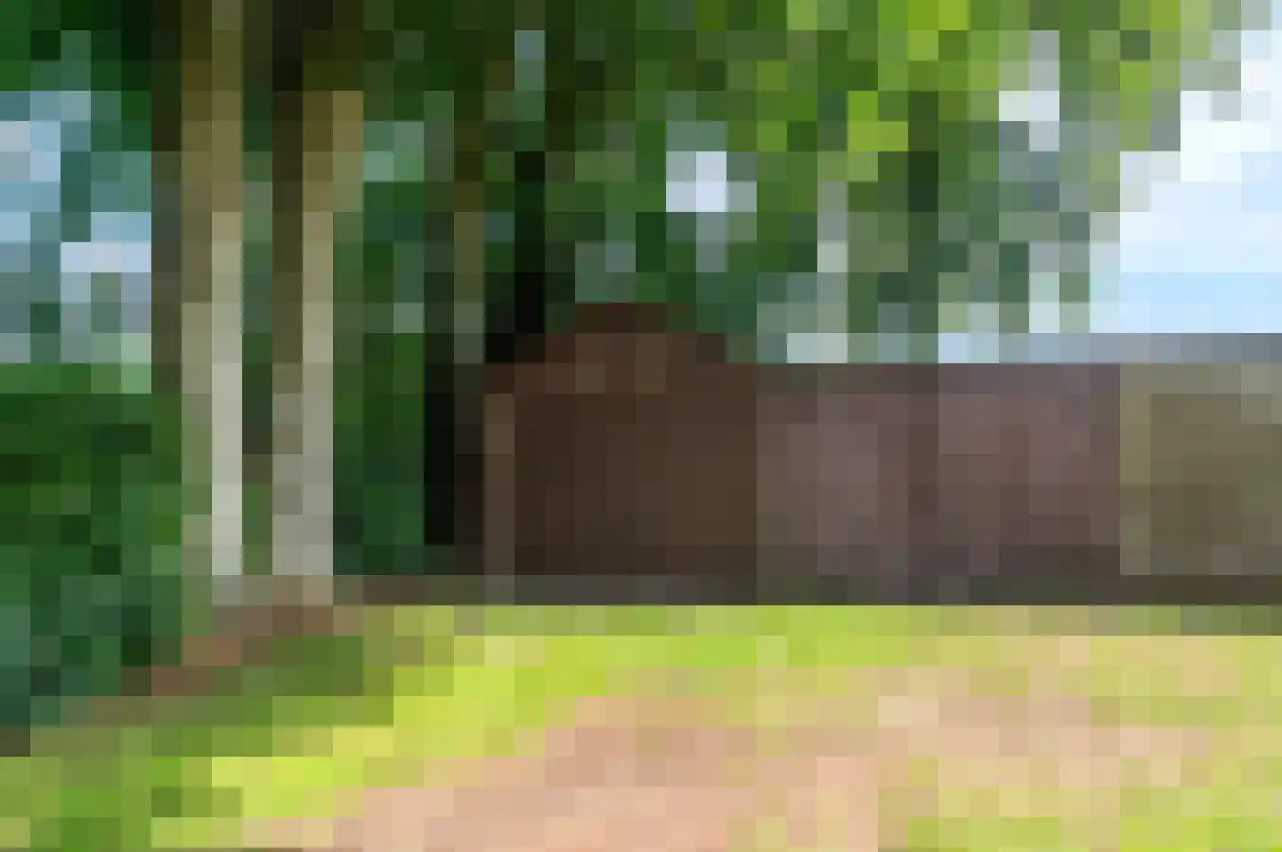 Noordenveldweg 110 Donderen thumbnail 67