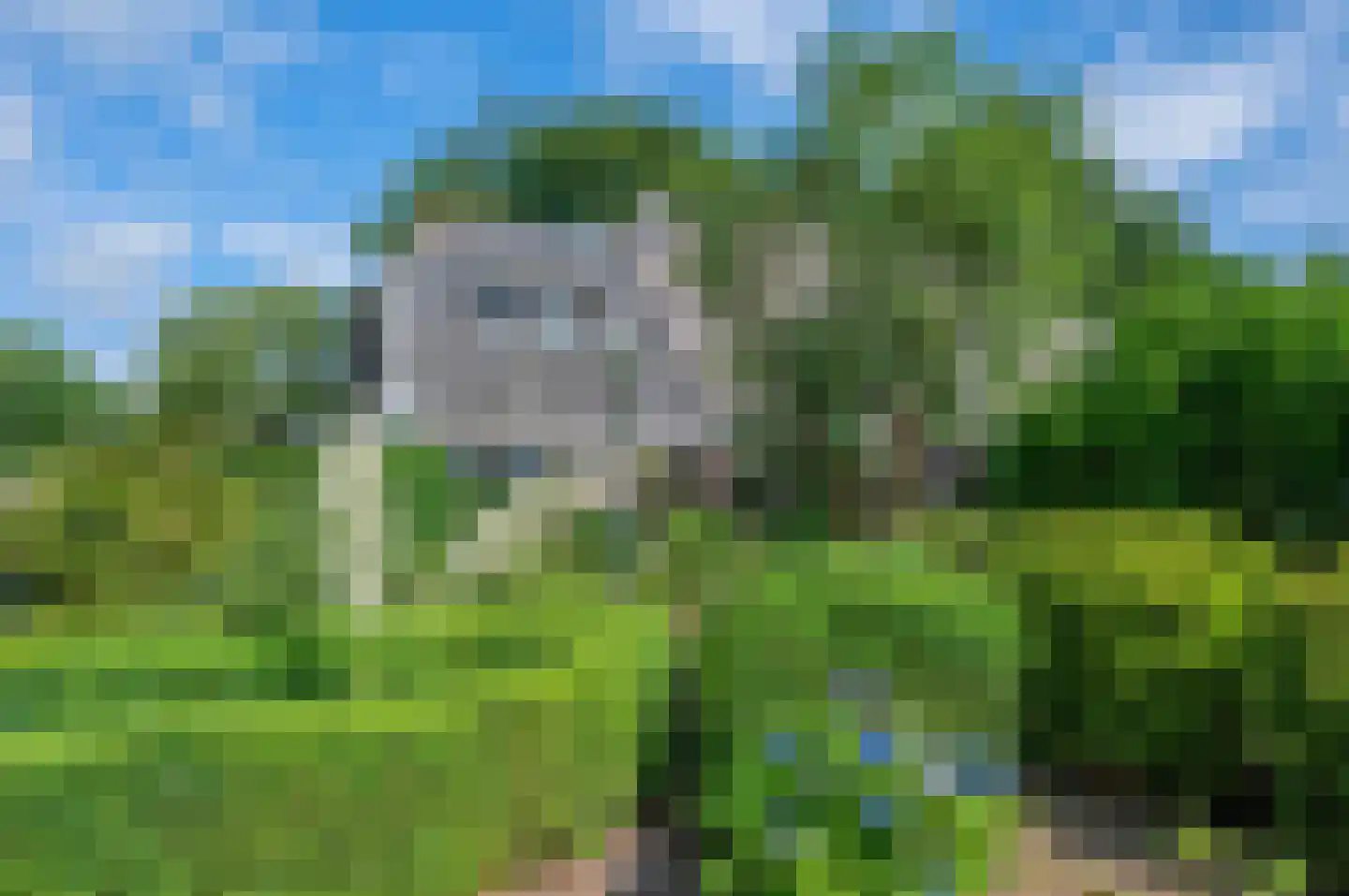 Noordenveldweg 110 Donderen thumbnail 7