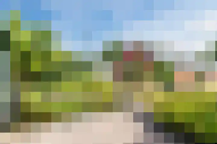 Noordenveldweg 114 Donderen thumbnail 29