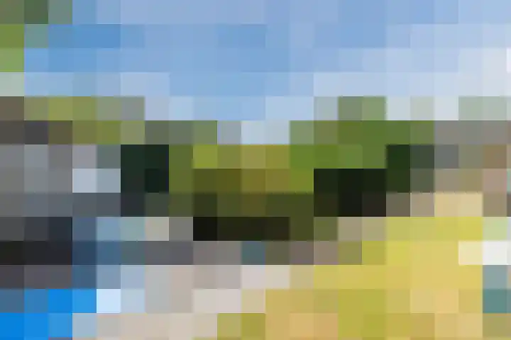 Noordenveldweg 114 Donderen thumbnail 50