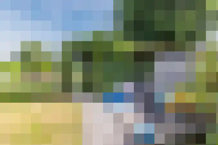 Noordenveldweg 114 Donderen thumbnail 51