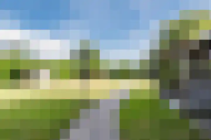 Noordenveldweg 114 Donderen thumbnail 52