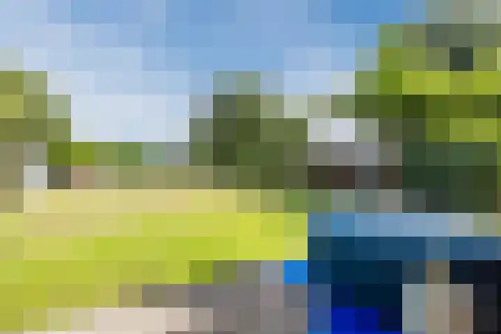 Noordenveldweg 114 Donderen thumbnail 54