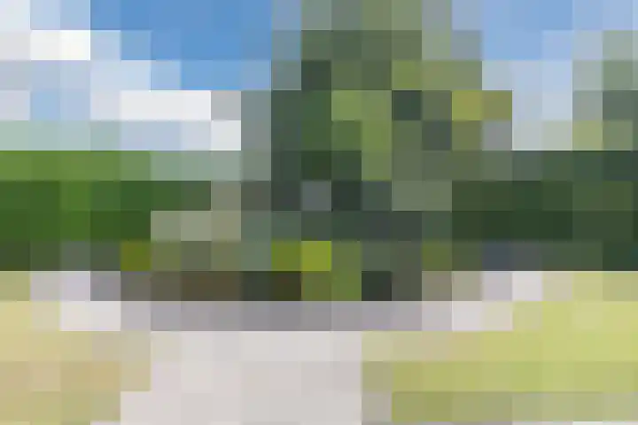 Noordenveldweg 114 Donderen thumbnail 57