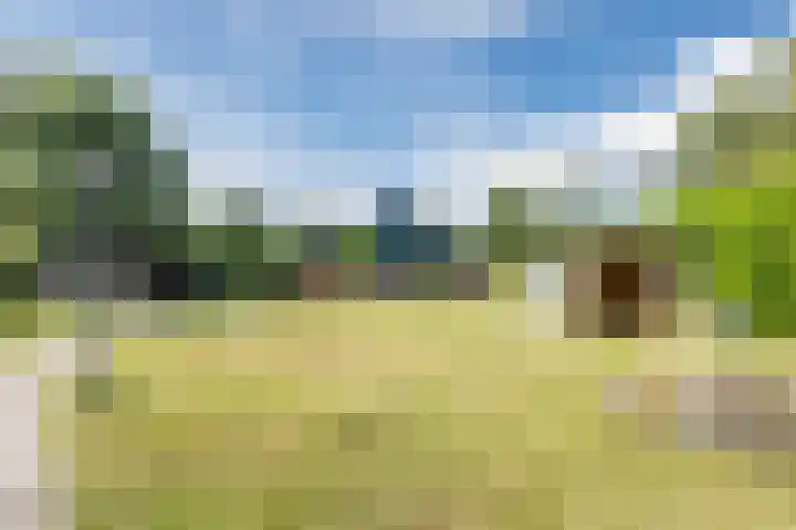 Noordenveldweg 114 Donderen thumbnail 61
