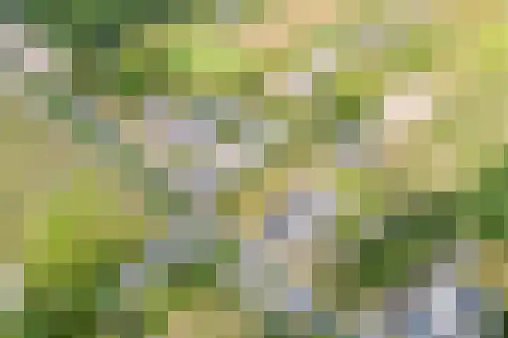 Noordenveldweg 114 Donderen thumbnail 63