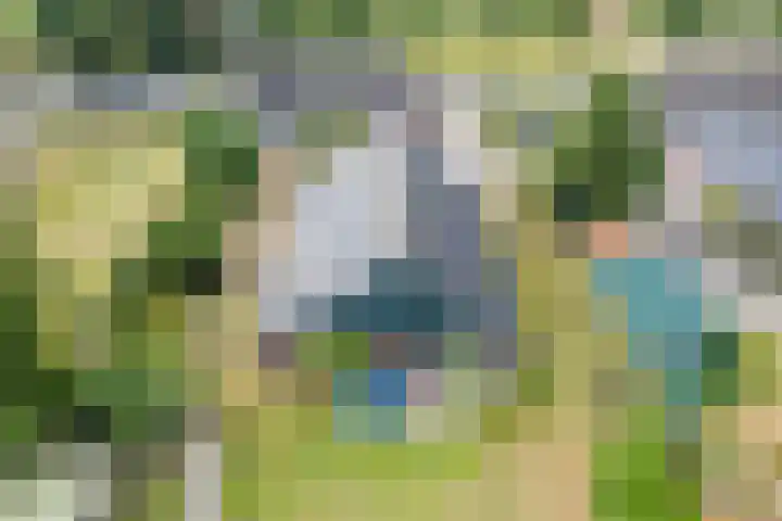 Noordenveldweg 114 Donderen thumbnail 65