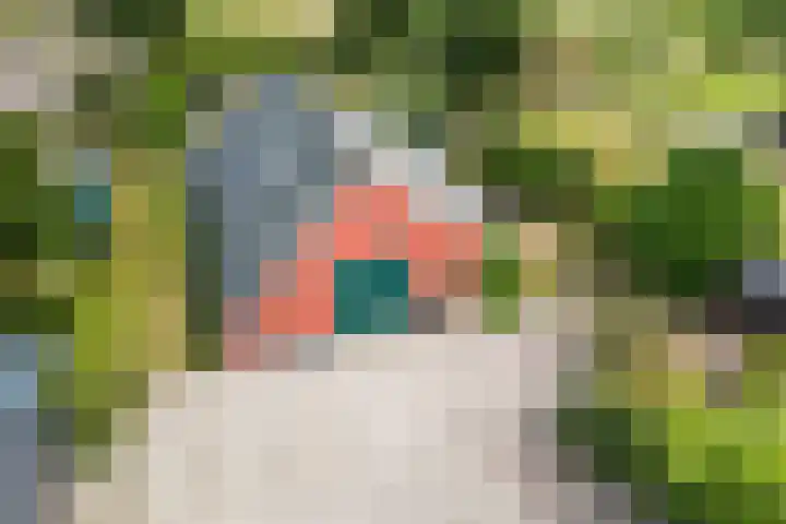 Noordenveldweg 114 Donderen thumbnail 67