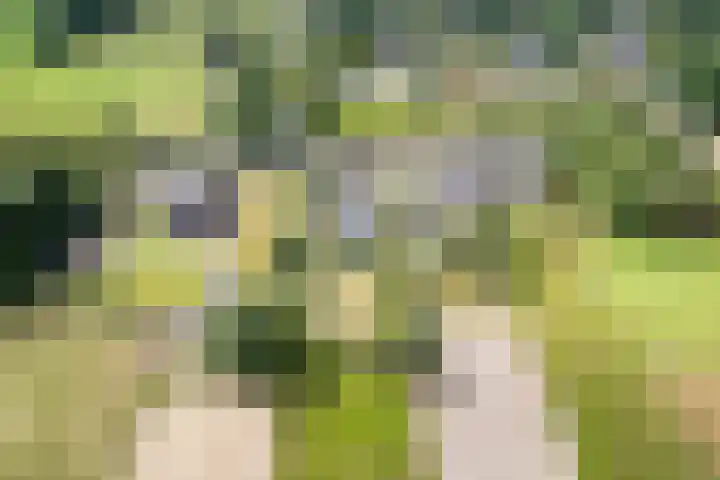 Noordenveldweg 114 Donderen thumbnail 70