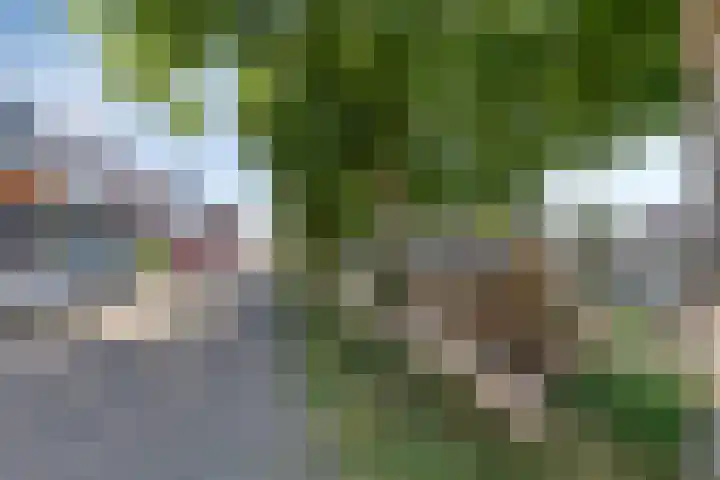 Noordenweg 53 Ridderkerk thumbnail 10