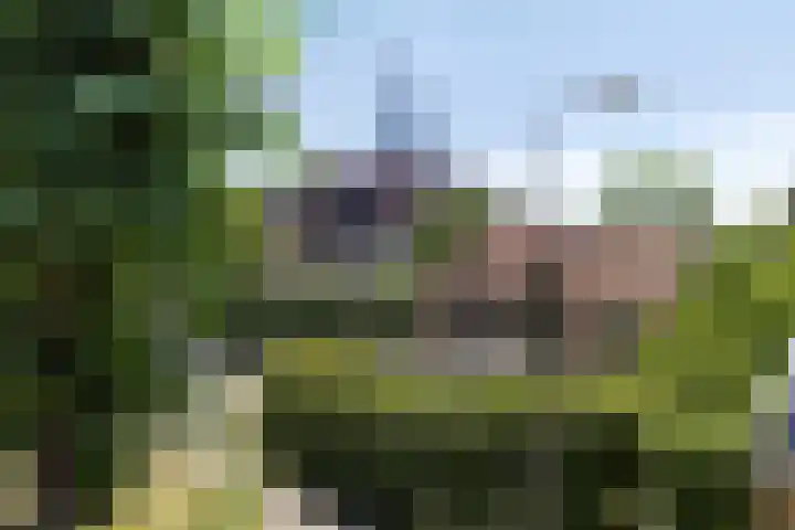 Noordenweg 53 Ridderkerk thumbnail 6