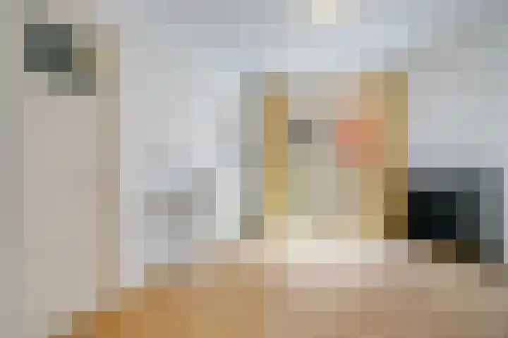 Noorder Emmakade 11 C Haarlem thumbnail 12