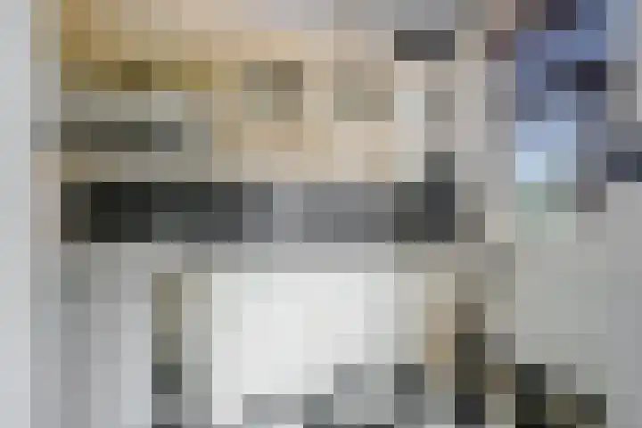 Noorder Emmakade 11 C Haarlem thumbnail 16
