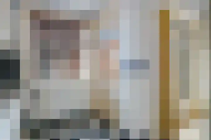 Noorder Emmakade 11 C Haarlem thumbnail 18