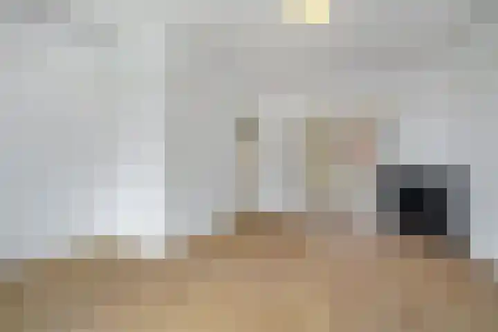 Noorder Emmakade 11 C Haarlem thumbnail 9