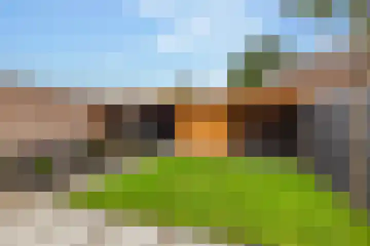 Noorder Esweg 14 Zuidwolde thumbnail 39