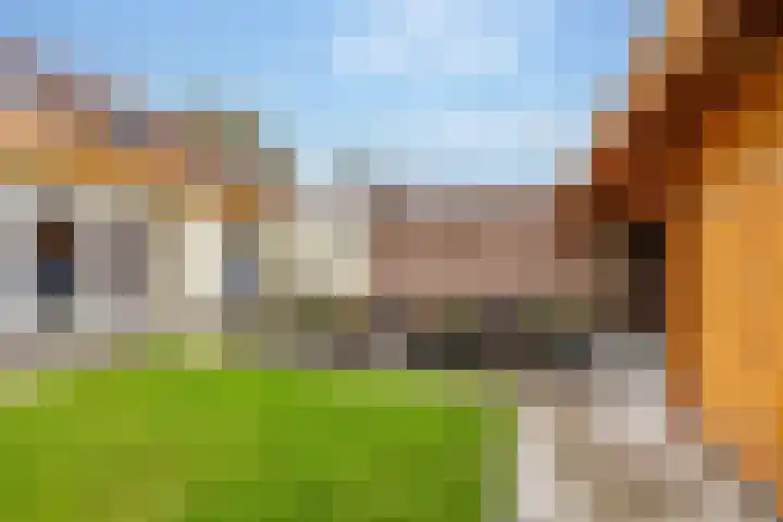 Noorder Esweg 14 Zuidwolde thumbnail 41