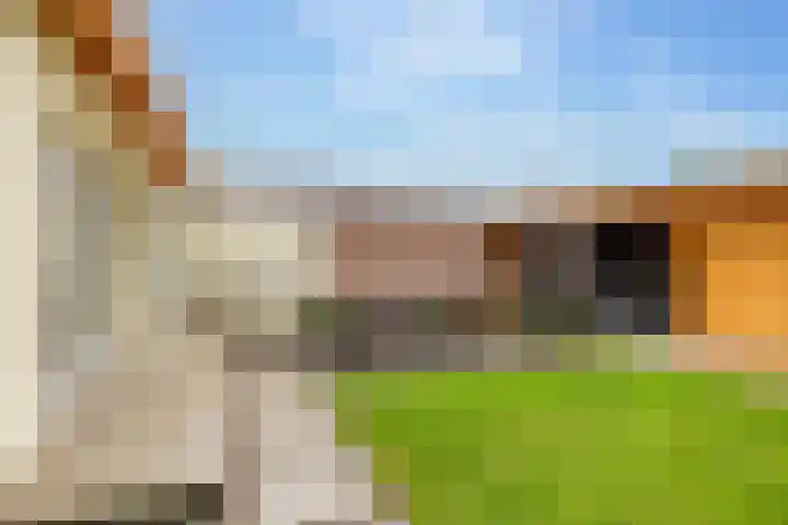 Noorder Esweg 14 Zuidwolde thumbnail 42