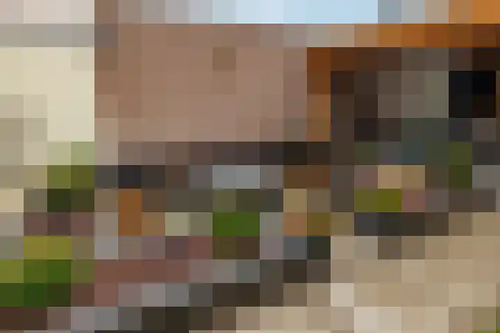 Noorder Esweg 14 Zuidwolde thumbnail 43