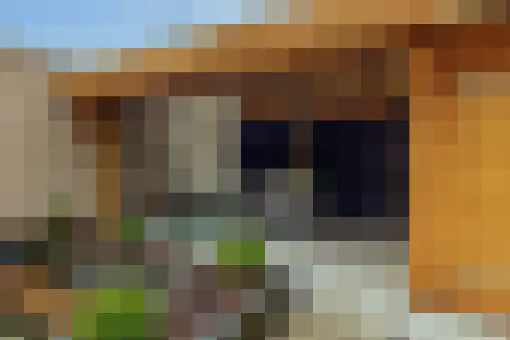 Noorder Esweg 14 Zuidwolde thumbnail 46