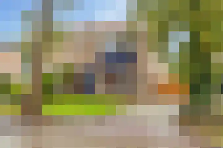 Noorder Esweg 14 Zuidwolde thumbnail 50