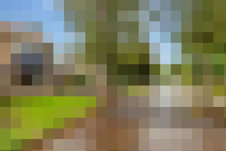 Noorder Esweg 14 Zuidwolde thumbnail 54