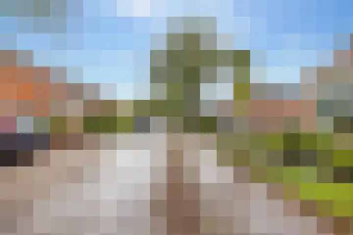 Noorder Esweg 14 Zuidwolde thumbnail 55