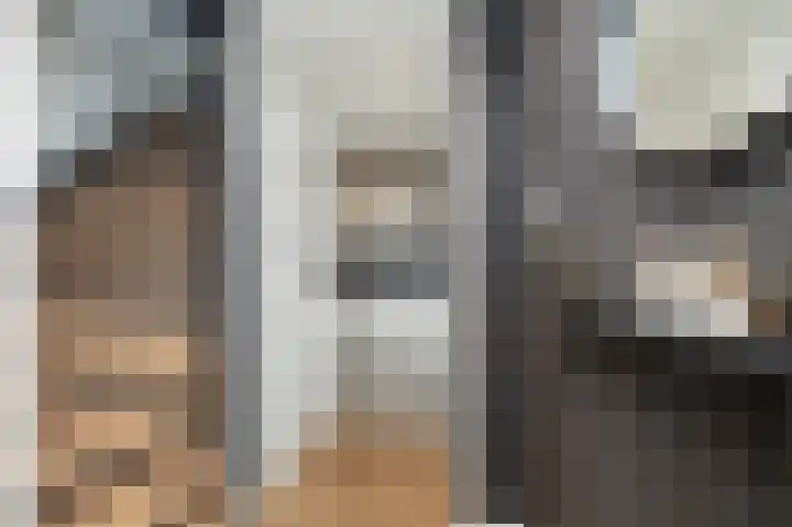 Noorder Esweg 14 Zuidwolde thumbnail 9