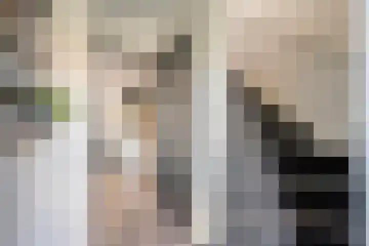 Noorder Esweg 7 Zuidwolde thumbnail 10