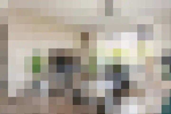 Noorder Esweg 7 Zuidwolde thumbnail 13