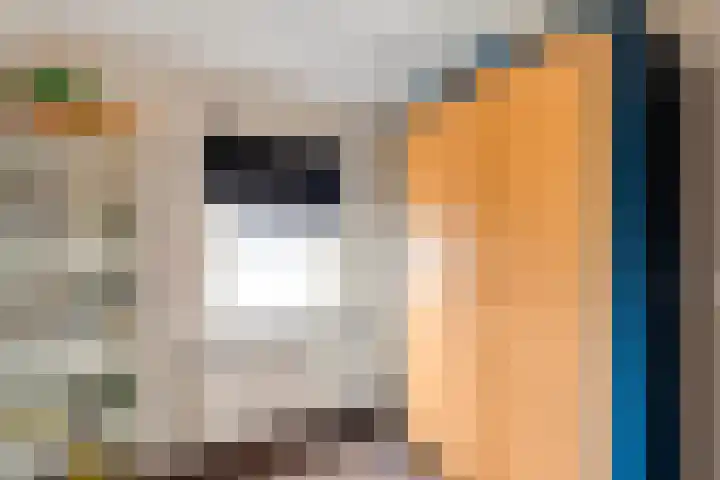 Noorder Esweg 7 Zuidwolde thumbnail 32