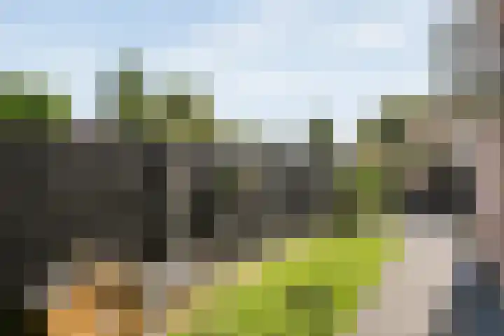 Noorder Esweg 7 Zuidwolde thumbnail 37