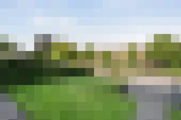 Noorder Esweg 7 Zuidwolde thumbnail 41