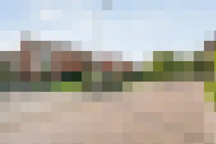 Noorder Esweg 7 Zuidwolde thumbnail 42