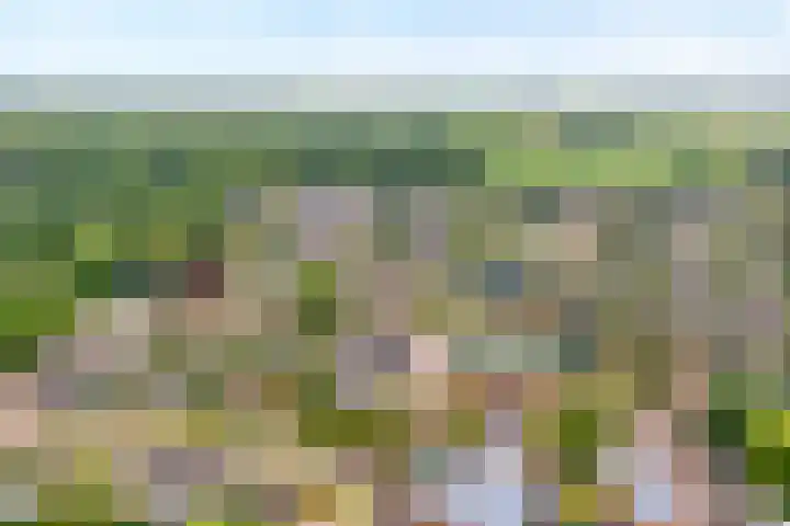 Noorder Esweg 7 Zuidwolde thumbnail 43