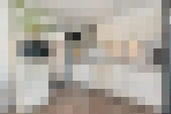 Noorder Esweg 7 Zuidwolde thumbnail 5