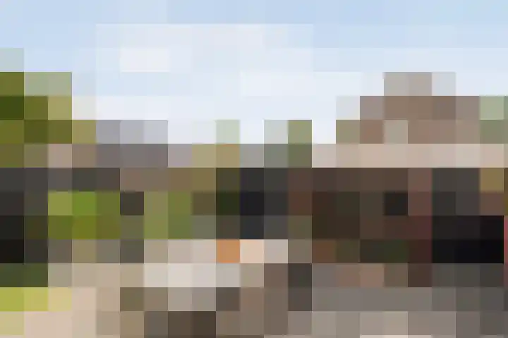 Noorder Esweg 7 Zuidwolde thumbnail 6