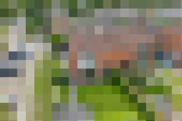 Noorder Esweg 7 Zuidwolde thumbnail 7
