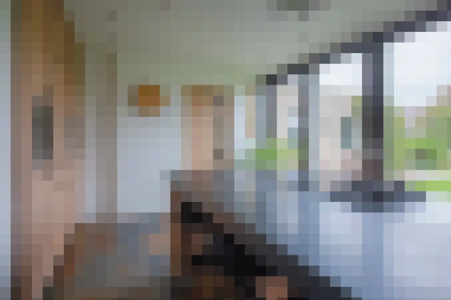 Noorder Haaks 17 Den Hoorn thumbnail 15