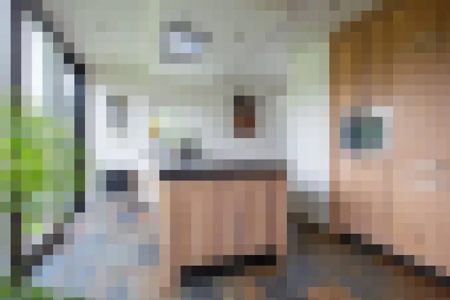 Noorder Haaks 17 Den Hoorn thumbnail 17