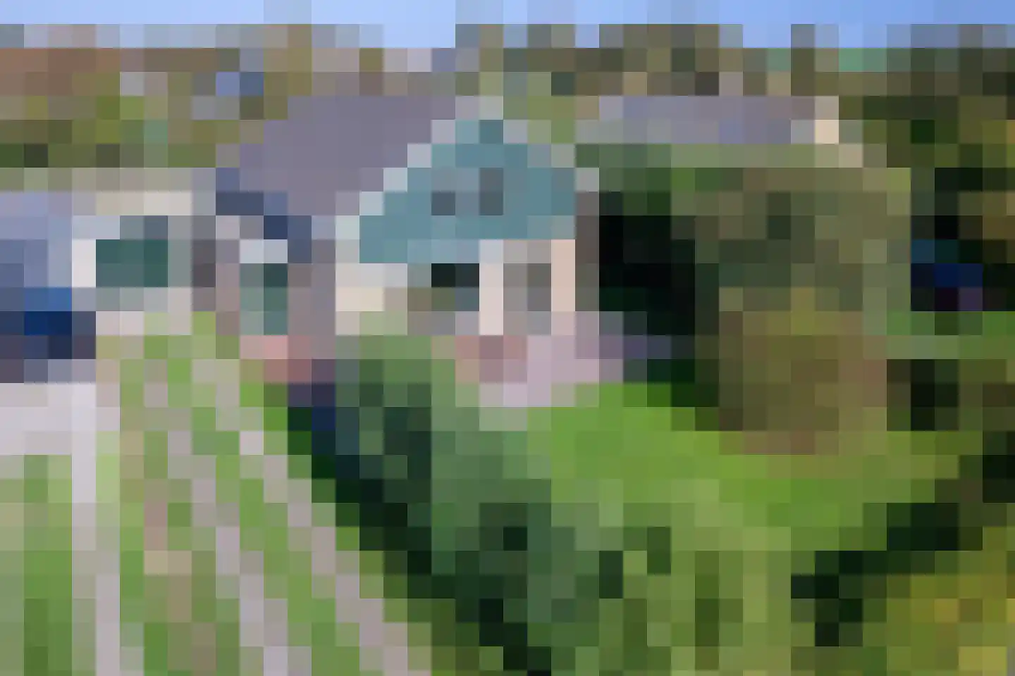 Noorder Haaks 17 Den Hoorn thumbnail 49
