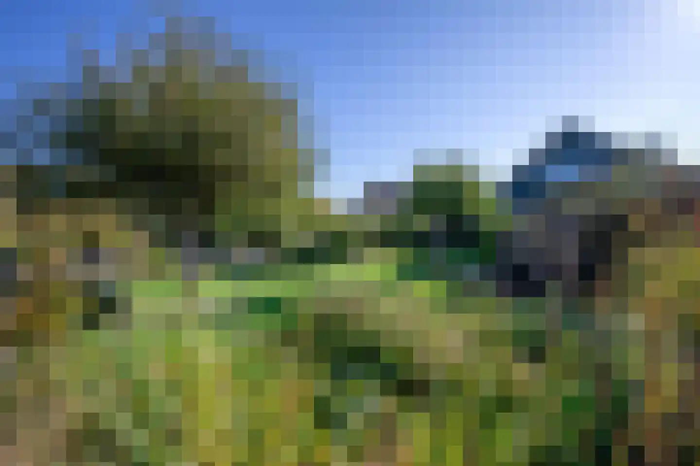 Noorder Haaks 17 Den Hoorn thumbnail 5
