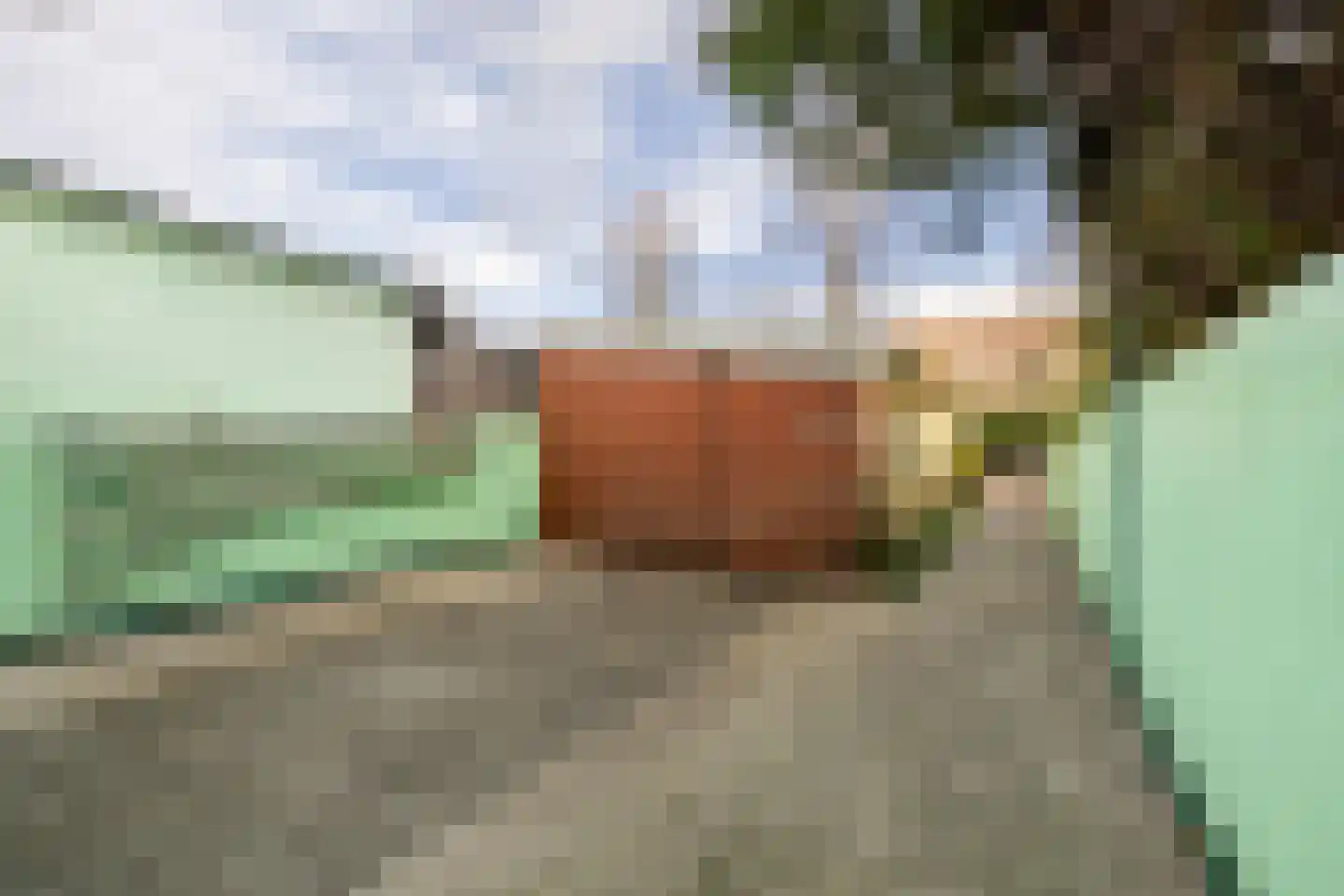 Noorder IJdijk 69 Amsterdam thumbnail 39