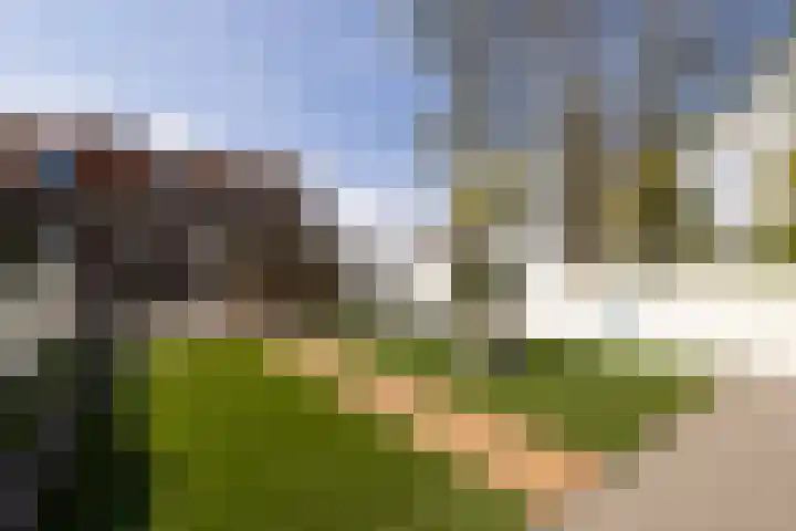 Noorder IJdijk 85 Amsterdam thumbnail 42