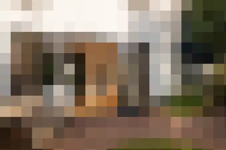 Noorder Jaagpad 15 Muiden thumbnail 12