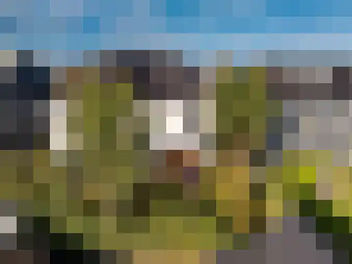 Noorder Jaagpad 15 Muiden thumbnail 13
