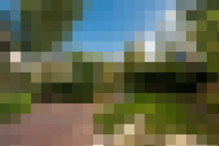 Noorder Jaagpad 15 Muiden thumbnail 14