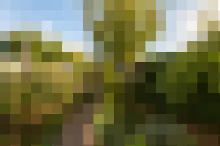 Noorder Jaagpad 15 Muiden thumbnail 15